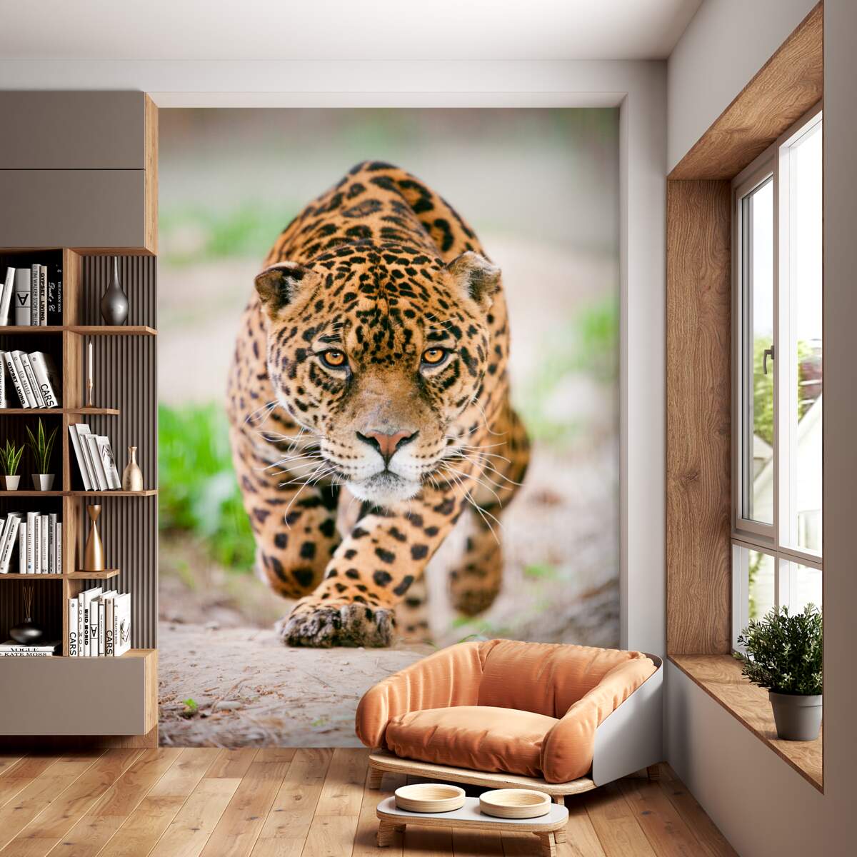 Fototapeta podstępny lampart o złotych oczach