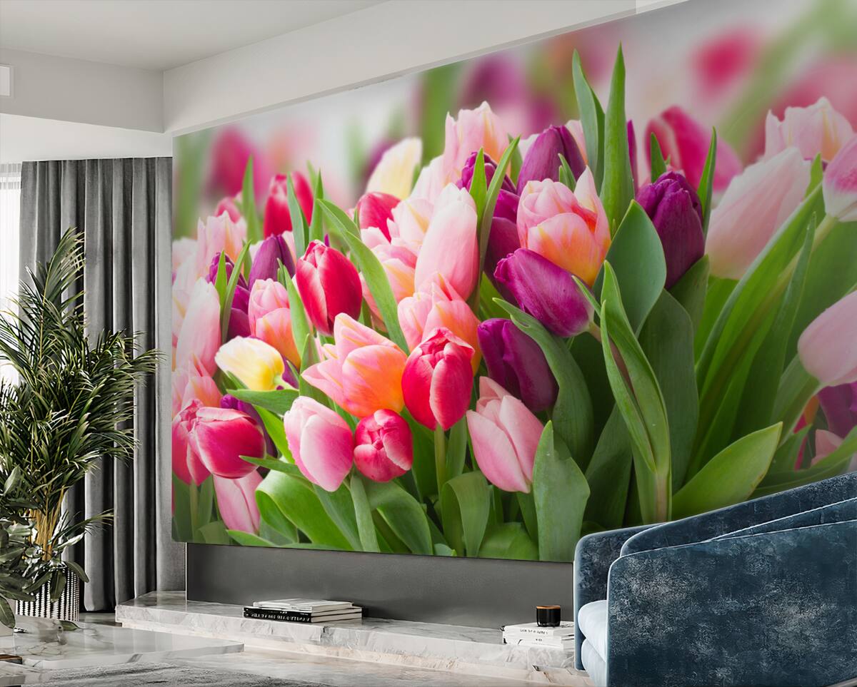 Fototapeta kolorowe wiosenne tulipany z zielenią