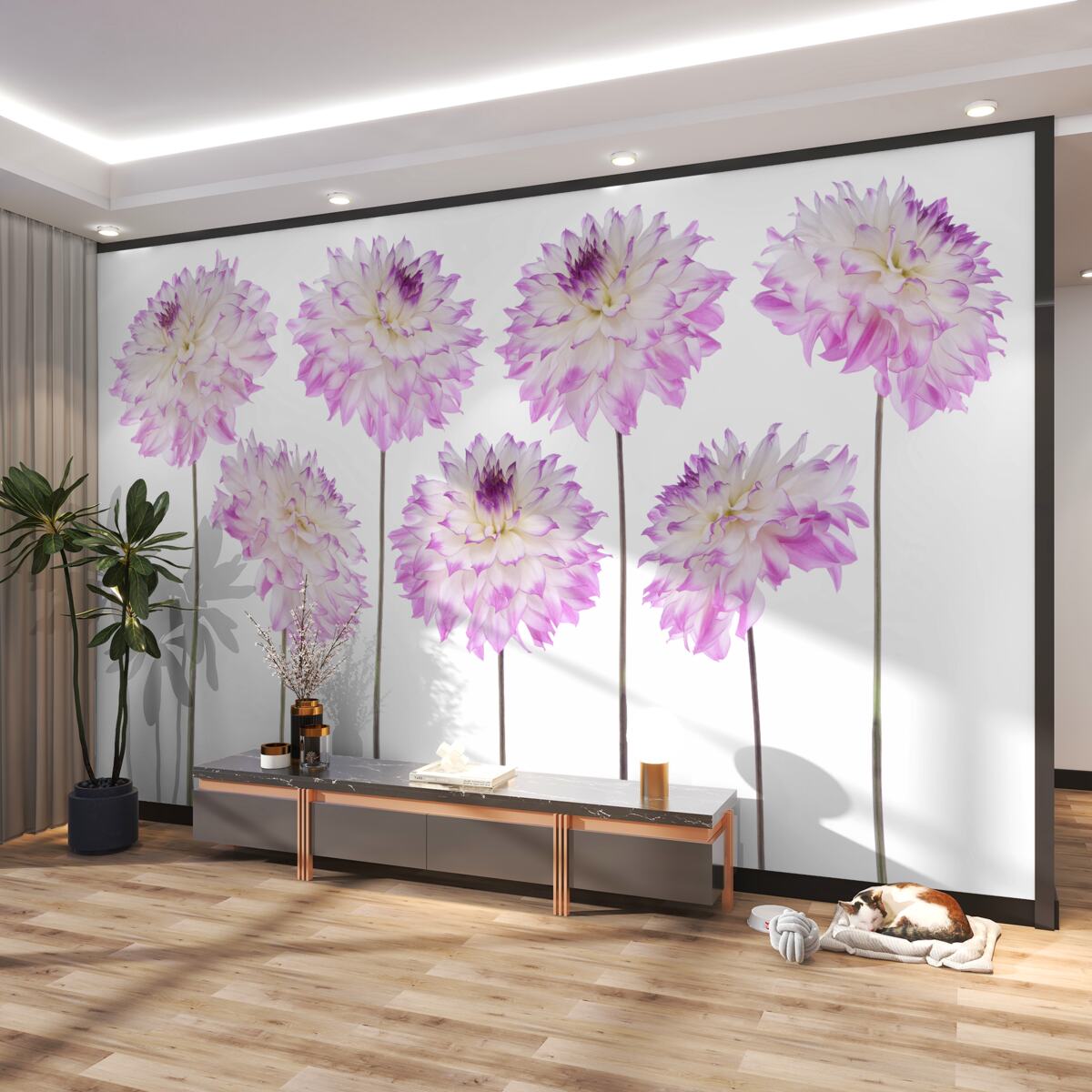 Fototapeta smukłe białe i różowe astry