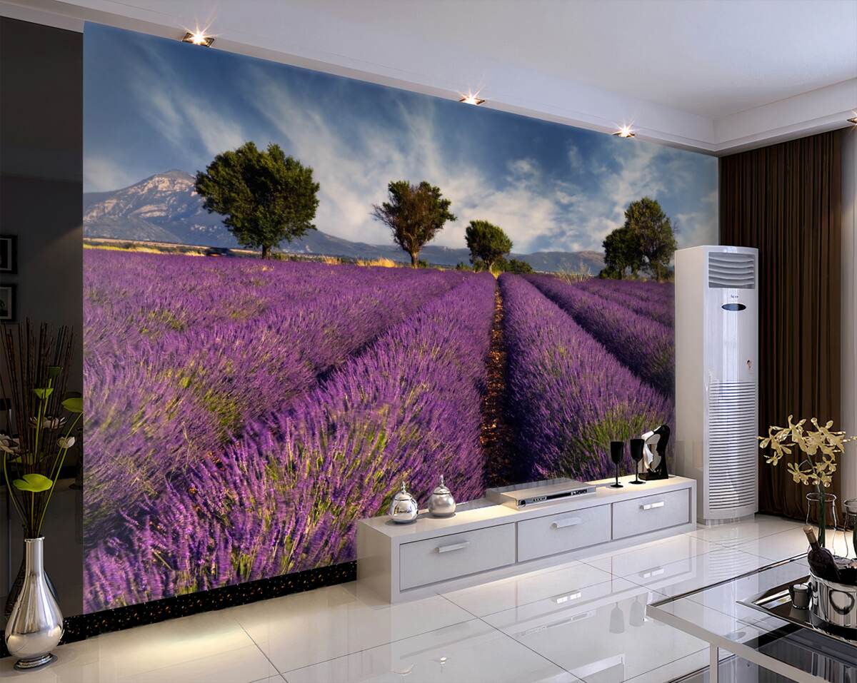 Fototapeta pachnące pola lawendy