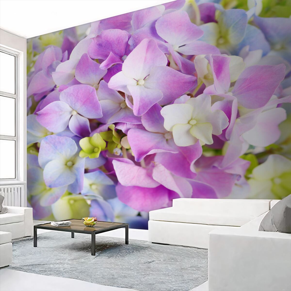 Fototapeta kompozycja jasnych hortensji