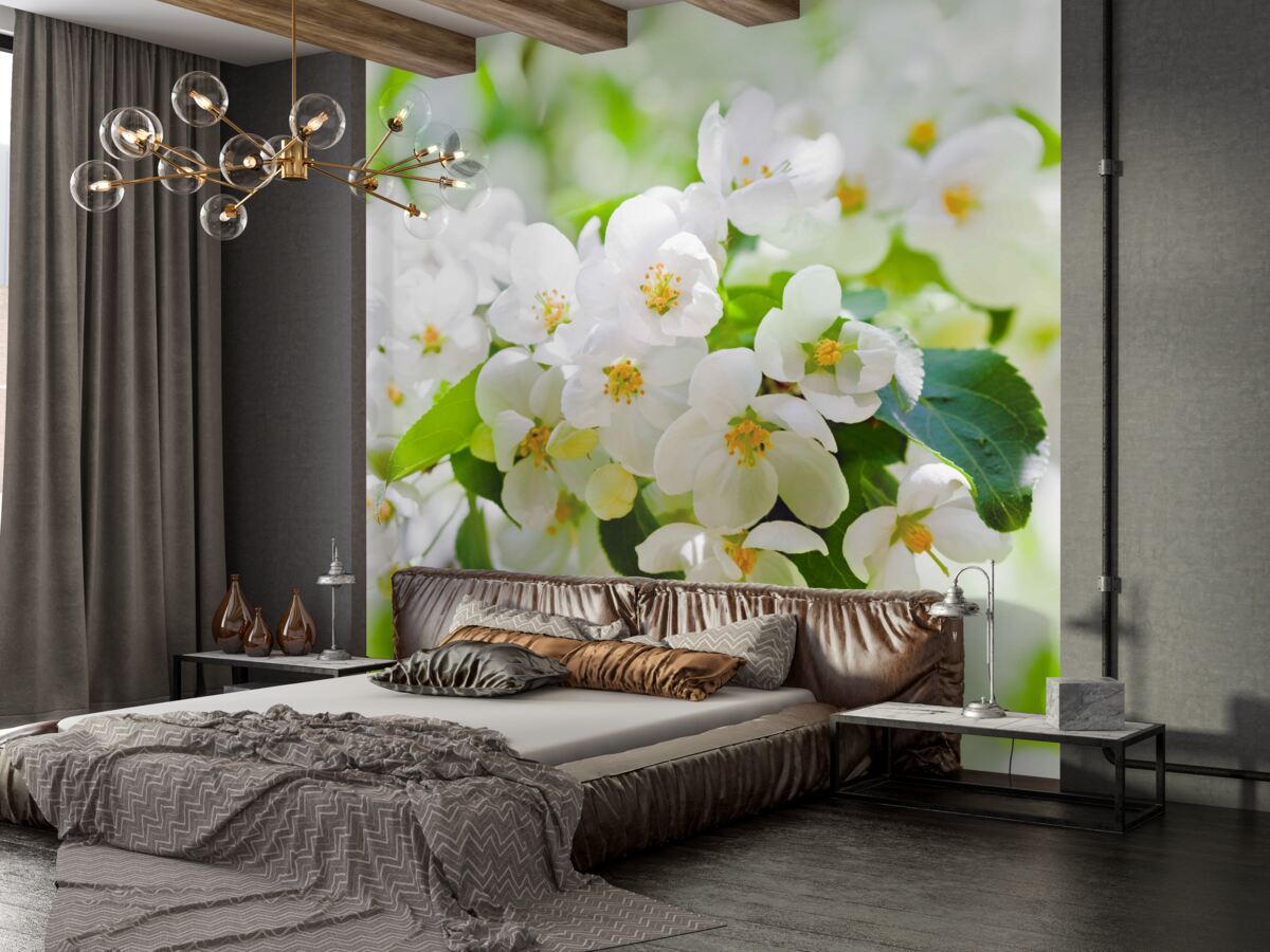 Fototapeta pachnące kwiaty jaśminu