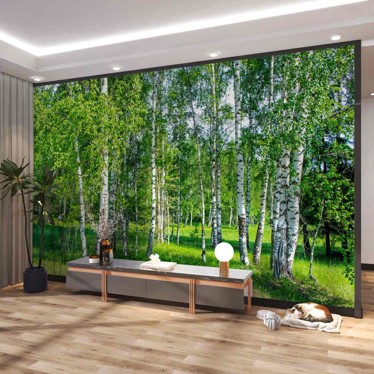 Fototapeta zielone brzozy w letnim gaju