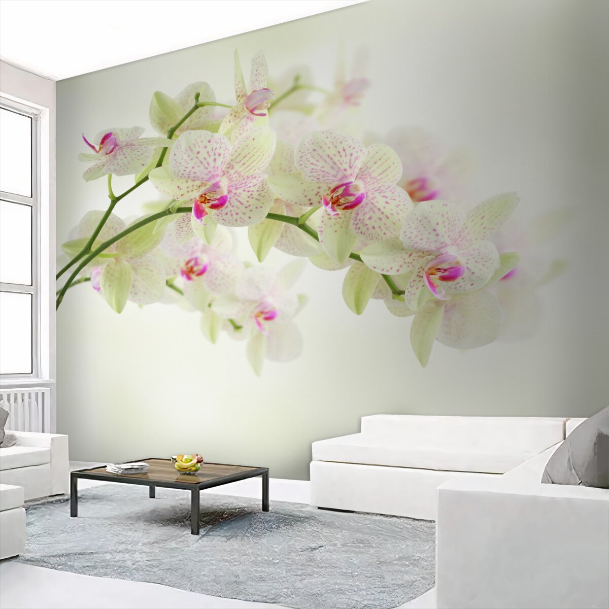 Fototapeta piękne grube gałęzie z pąkami orchidei