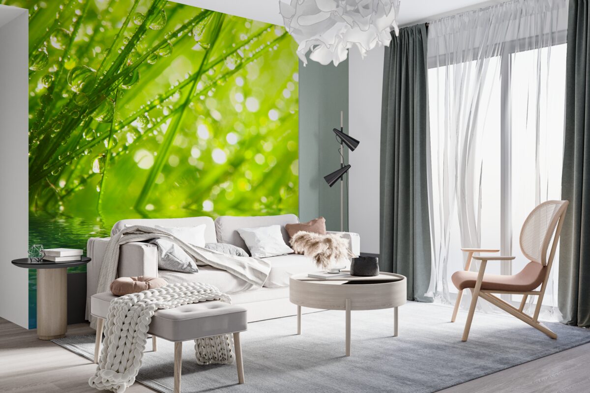 Fototapeta duże krople rosy na gałęziach w pobliżu wody