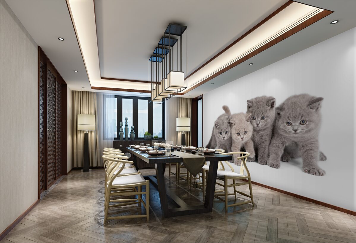 Fototapeta cztery urocze kociaki