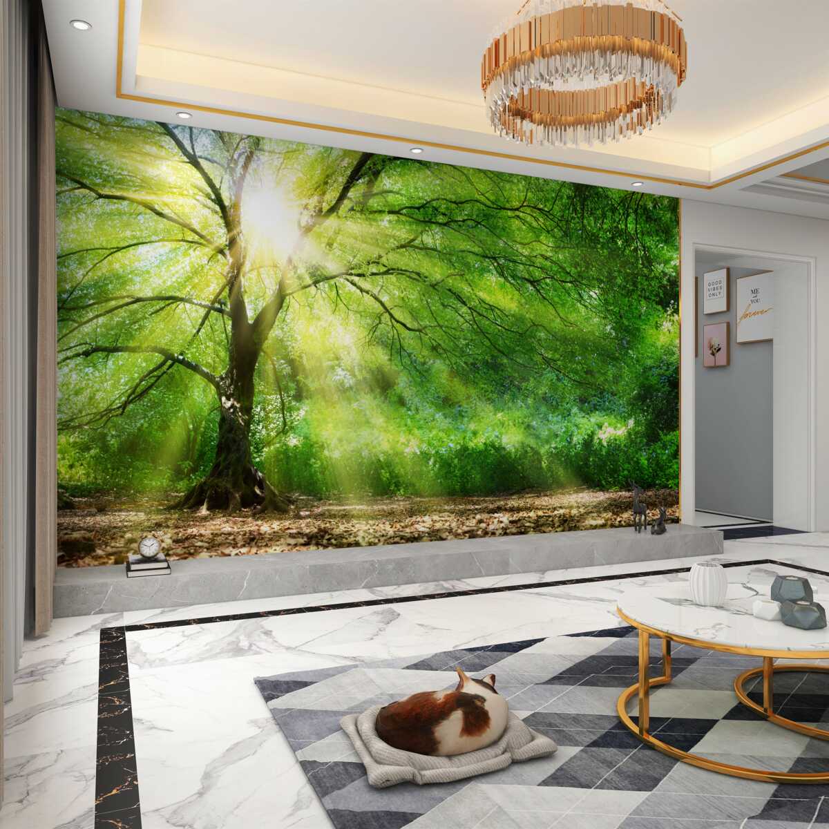 Fototapeta jasne promienie słońca przechodzą przez gęste drzewo