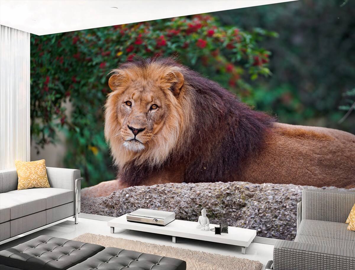 Fototapeta dorosły lew na kamieniu czekający na lwicę