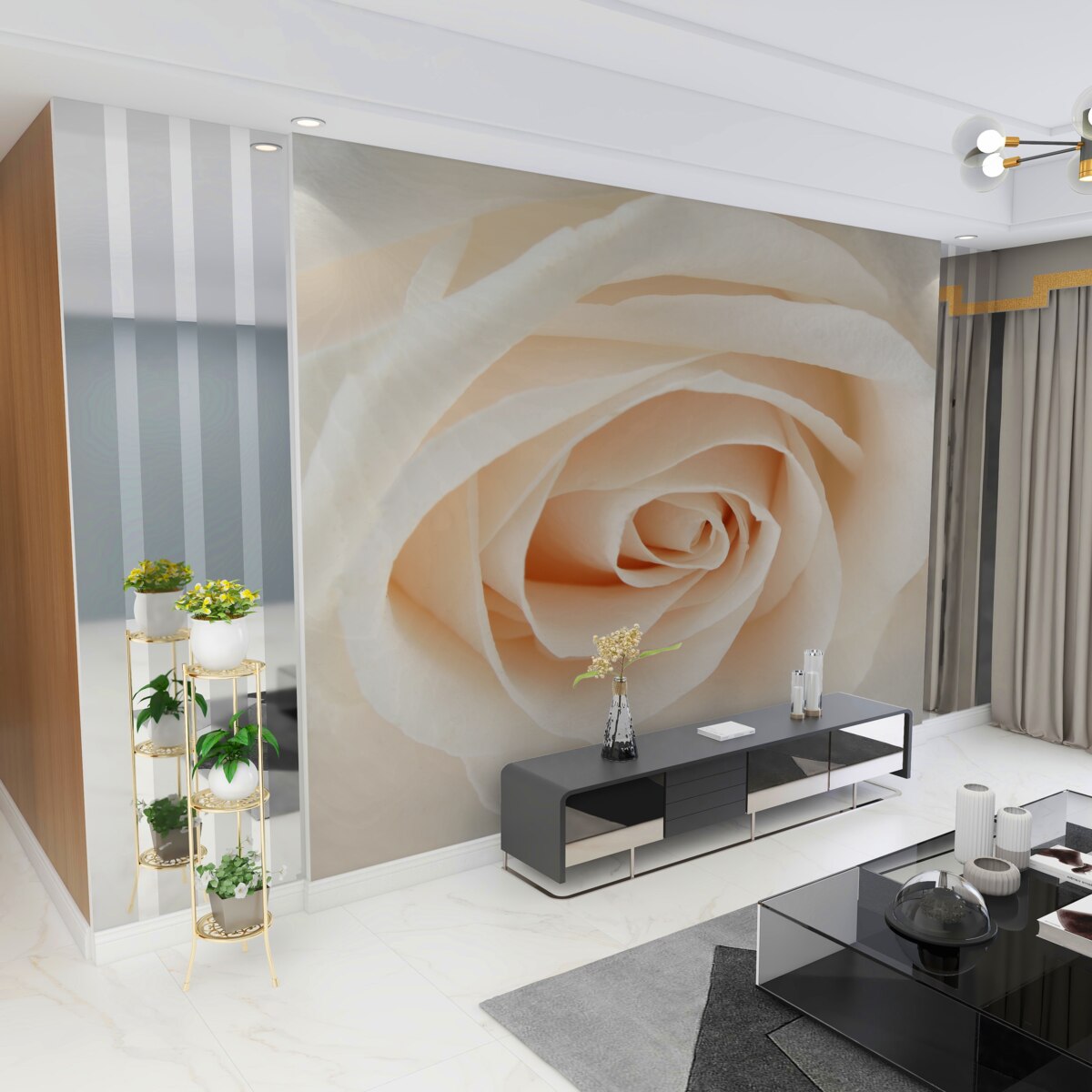 Fototapeta delikatny kremowy róż w całej okazałości