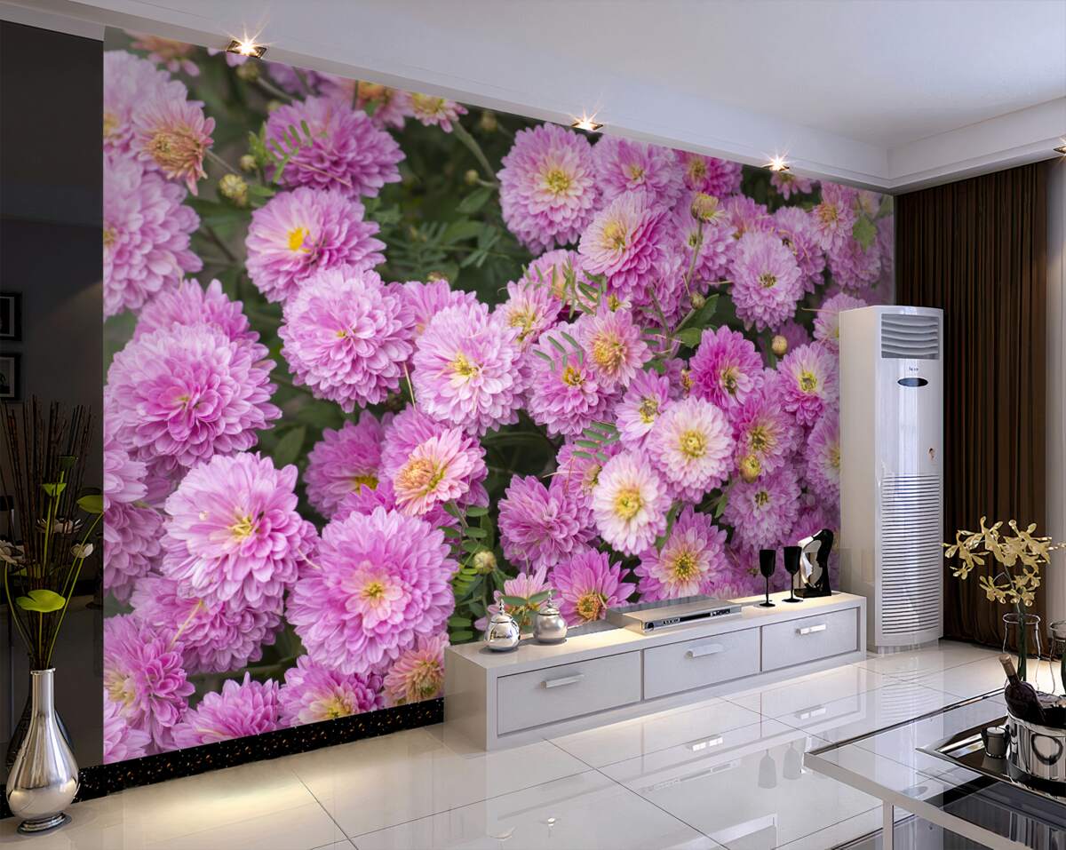 Fototapeta piękne liliowe stokrotki z otwartymi gerberami