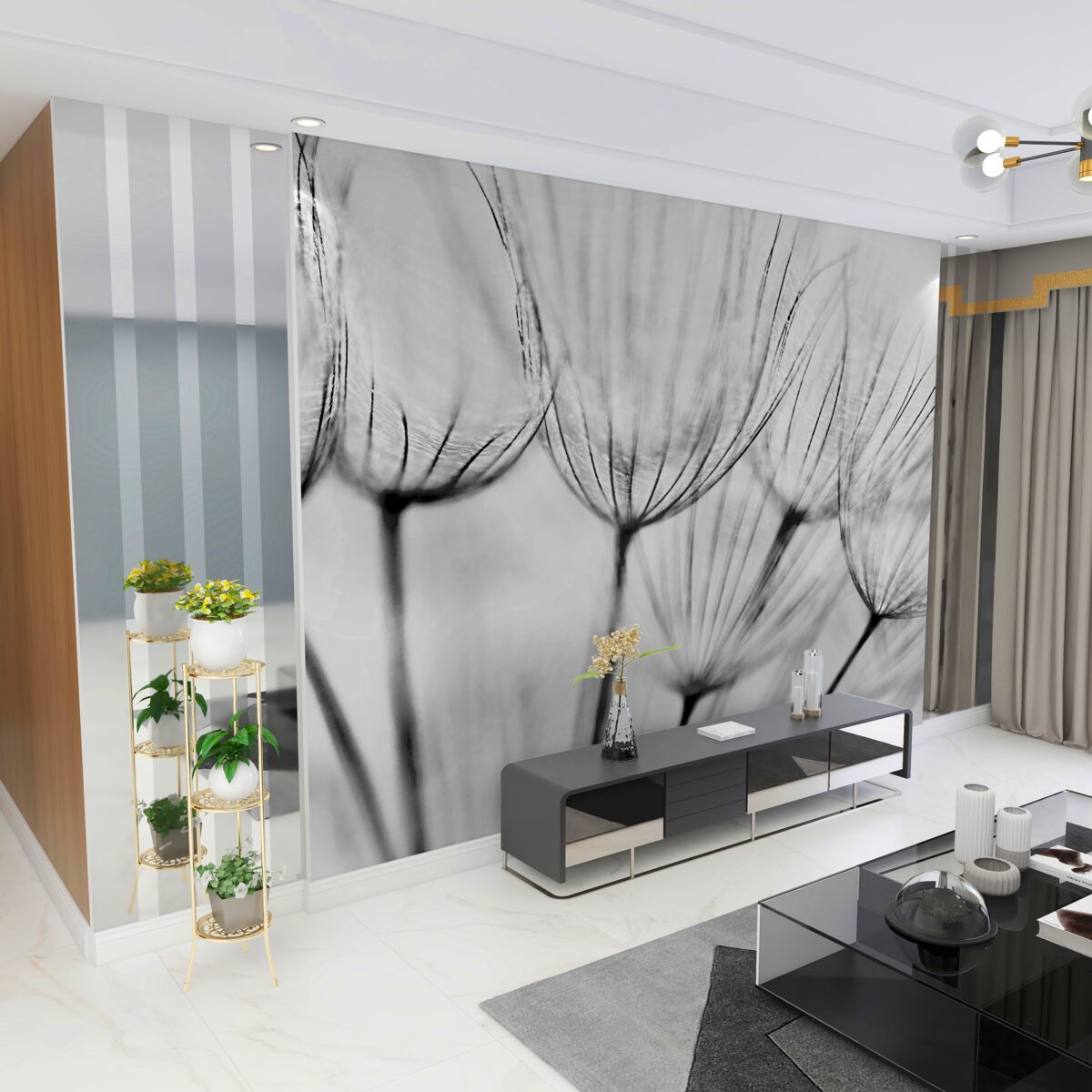 Fototapeta nieotwarte białe kwiaty mniszka lekarskiego