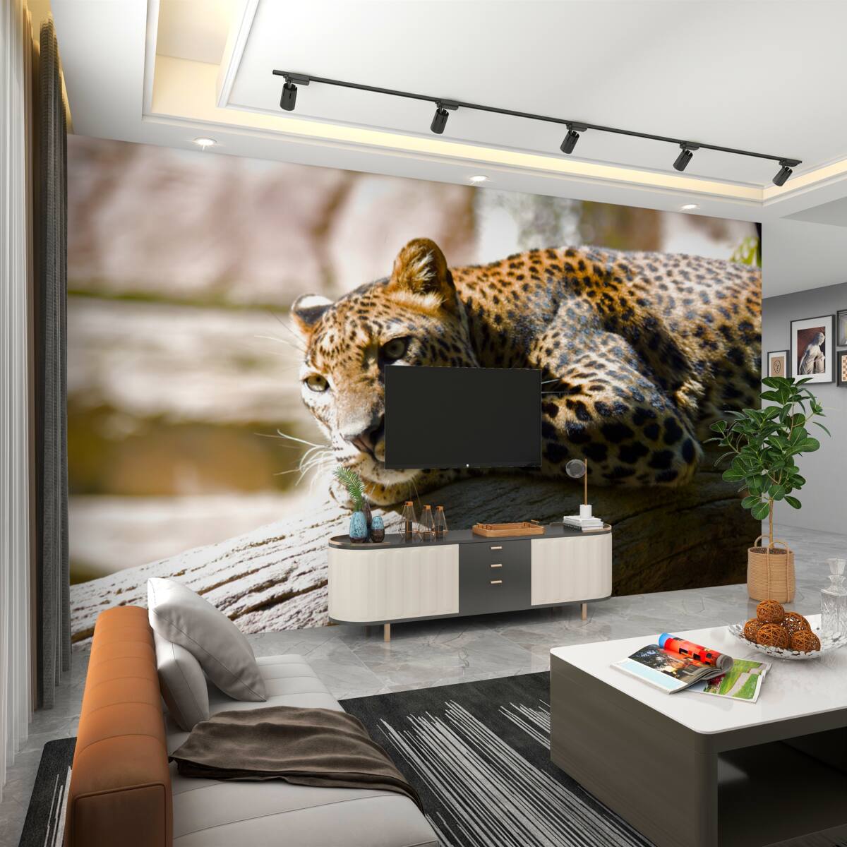 Fototapeta pantera ciesząca się ciepłymi promieniami