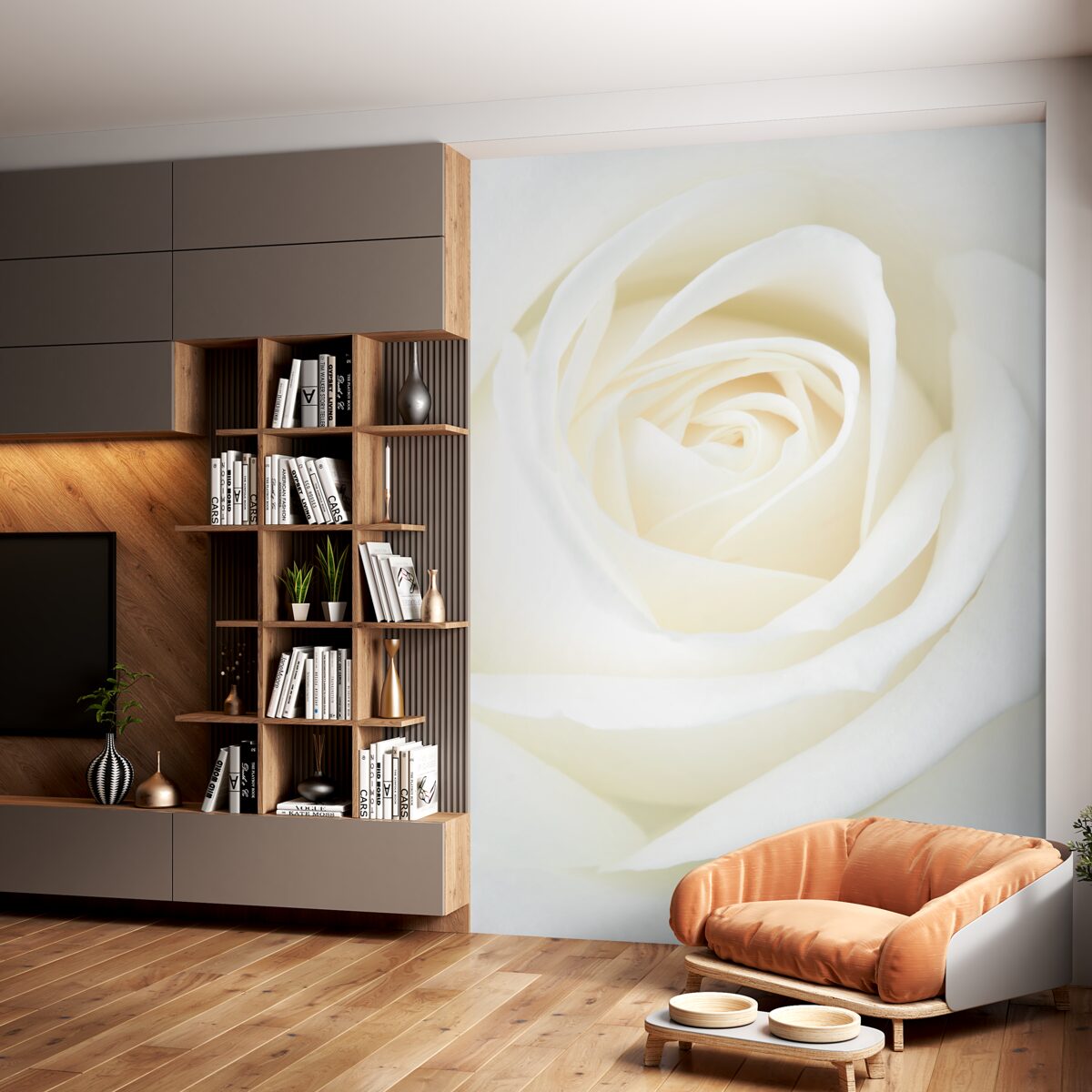 Fototapeta zbliżenie dużego pąka białej róży