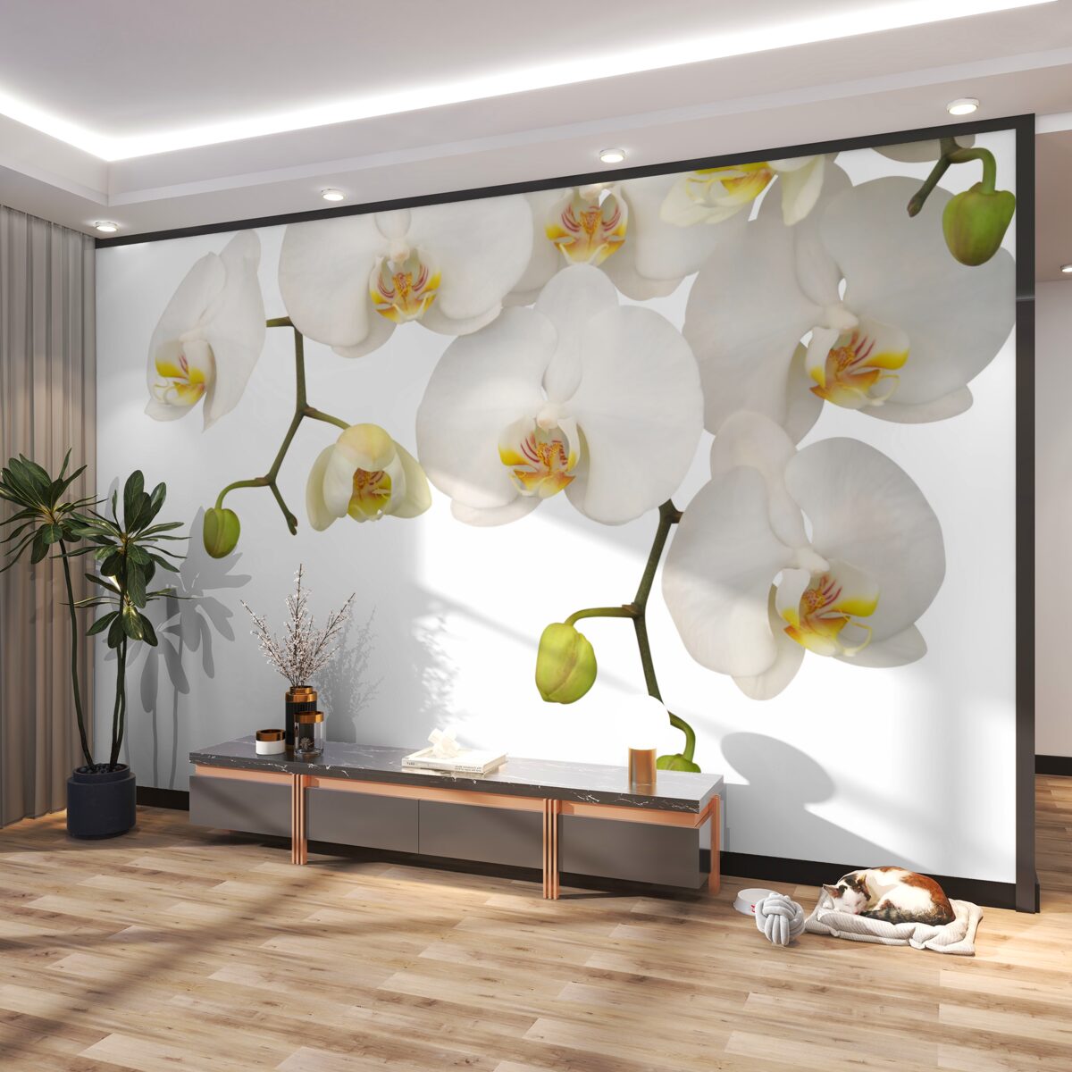 Fototapeta zwisają białe kwiaty orchidei