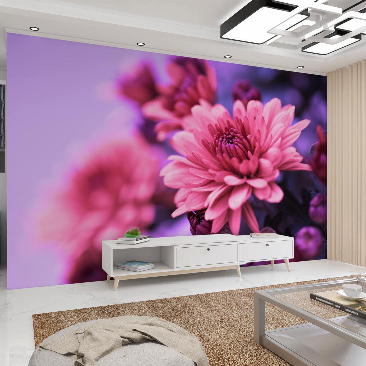 Fototapeta różowe astry kwitną rano