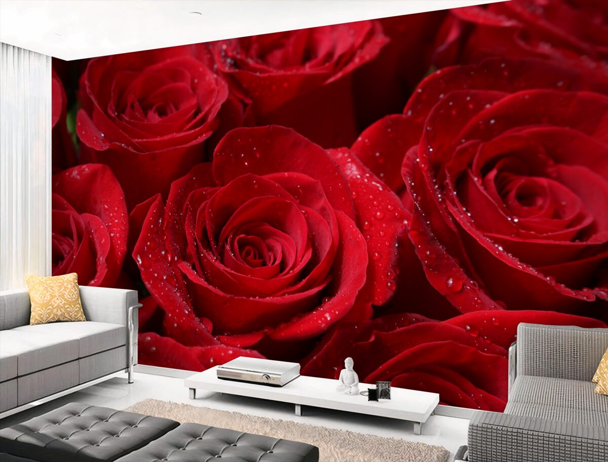 Fototapeta soczyste szkarłatne czerwone pąki róż