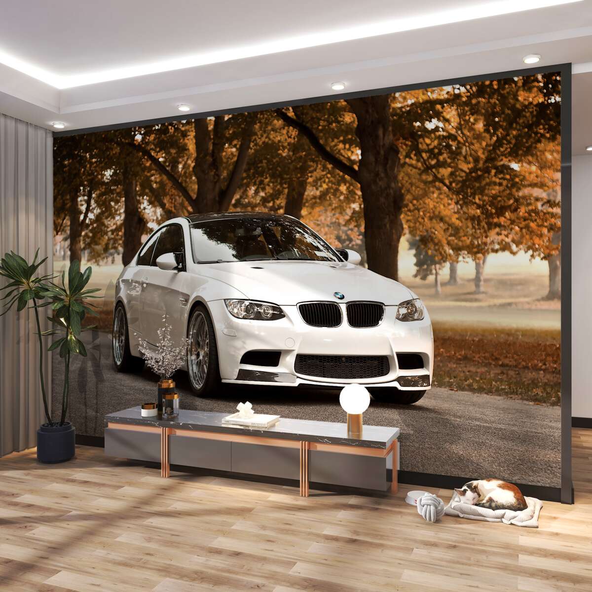 Fototapeta Białe BMW na drodze jesienią