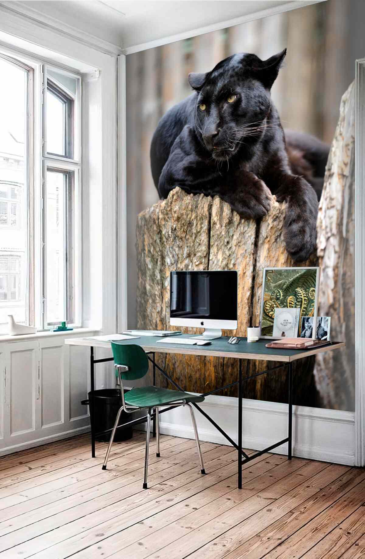 Fototapeta czarna pantera odpoczywa na drzewie