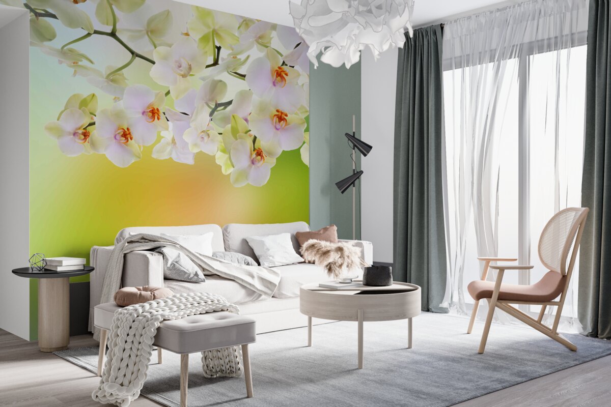 Fototapeta białe pąki i kwiaty orchidei na gałęziach