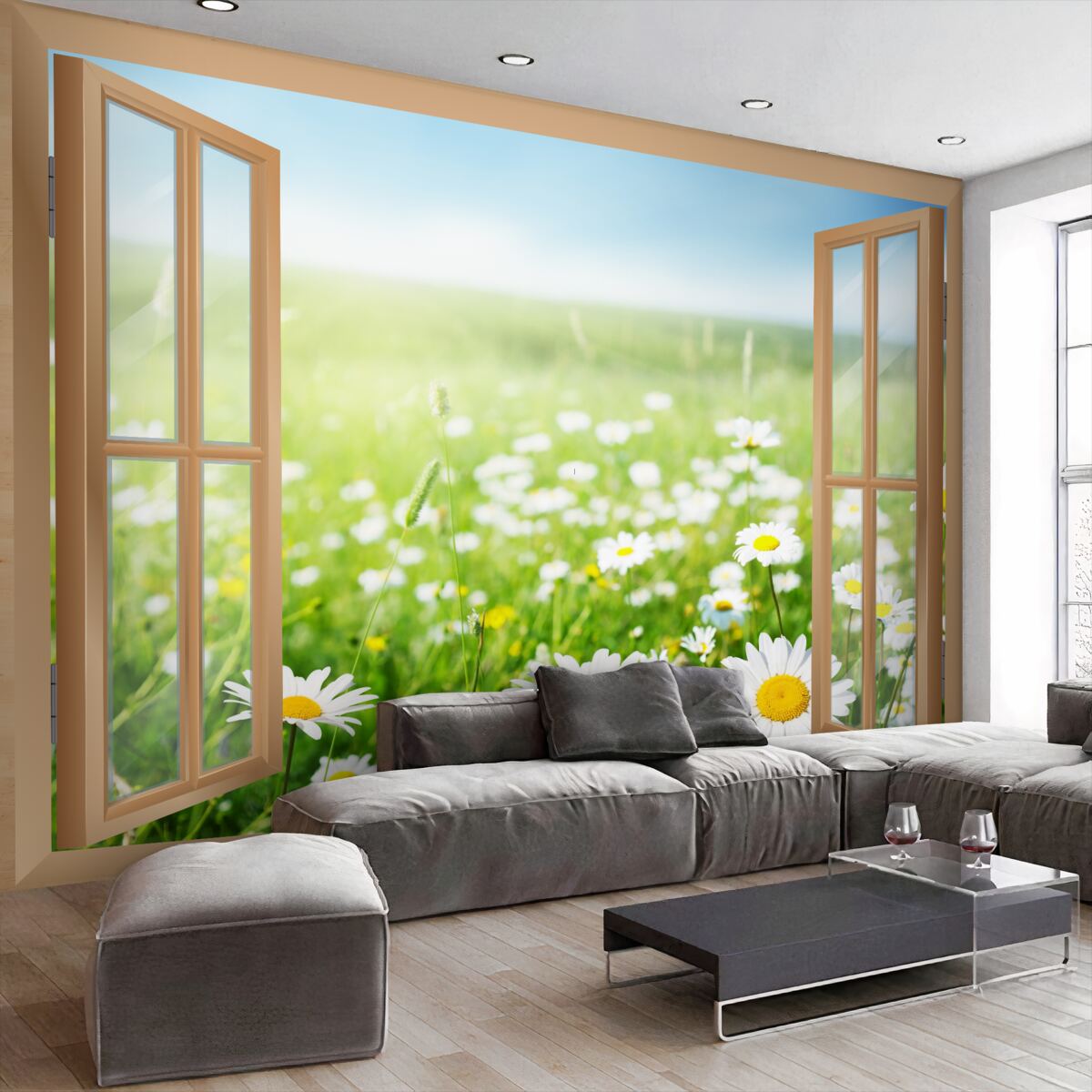 Fototapeta widok na pole stokrotek