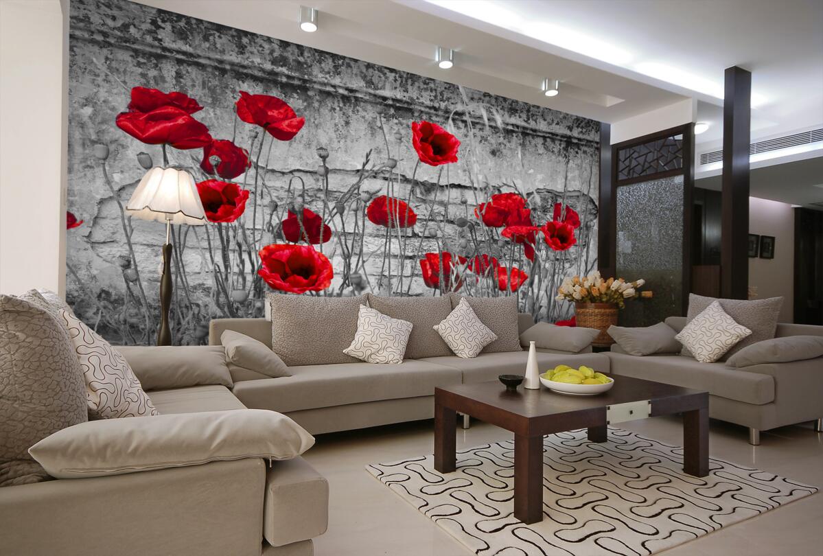 Fototapeta jasne czerwone maki na szarym tle