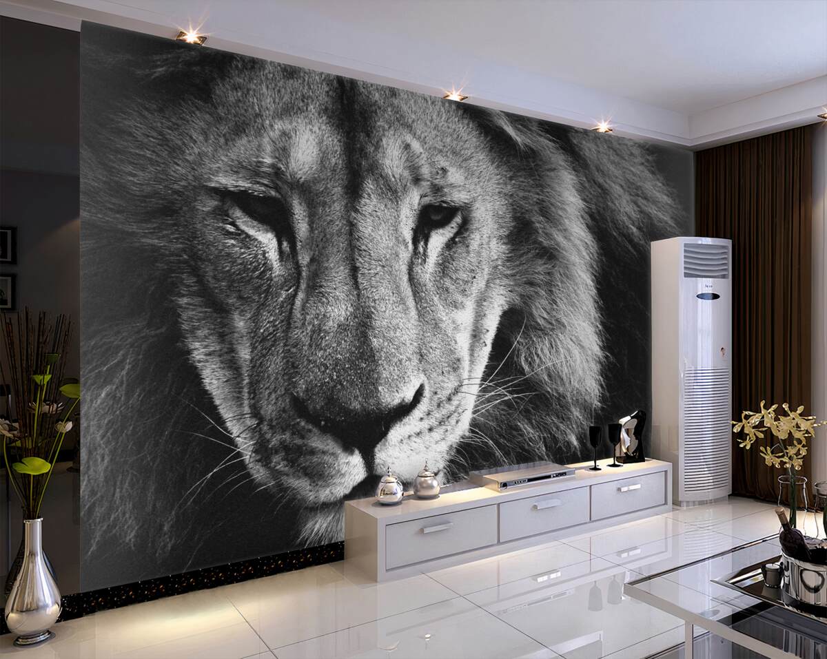 Fototapeta czarno-biały portret dorosłego lwa