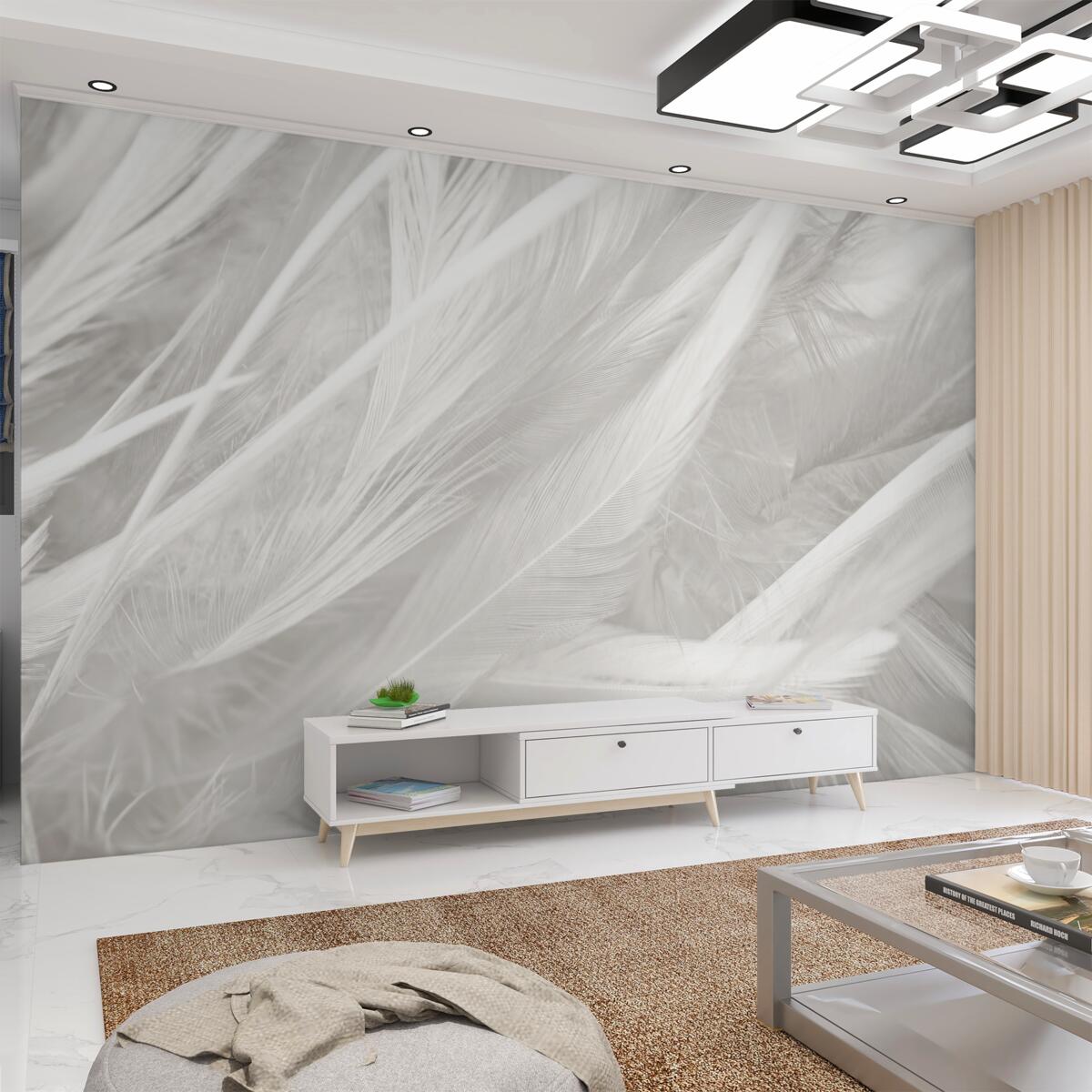 Fototapeta wiele przewiewnych piór