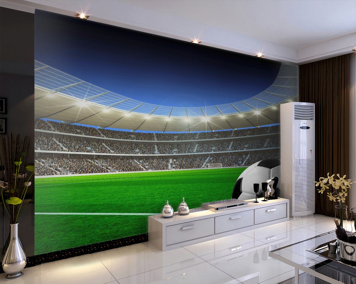 Fototapeta Arena piłkarska i piłkarska