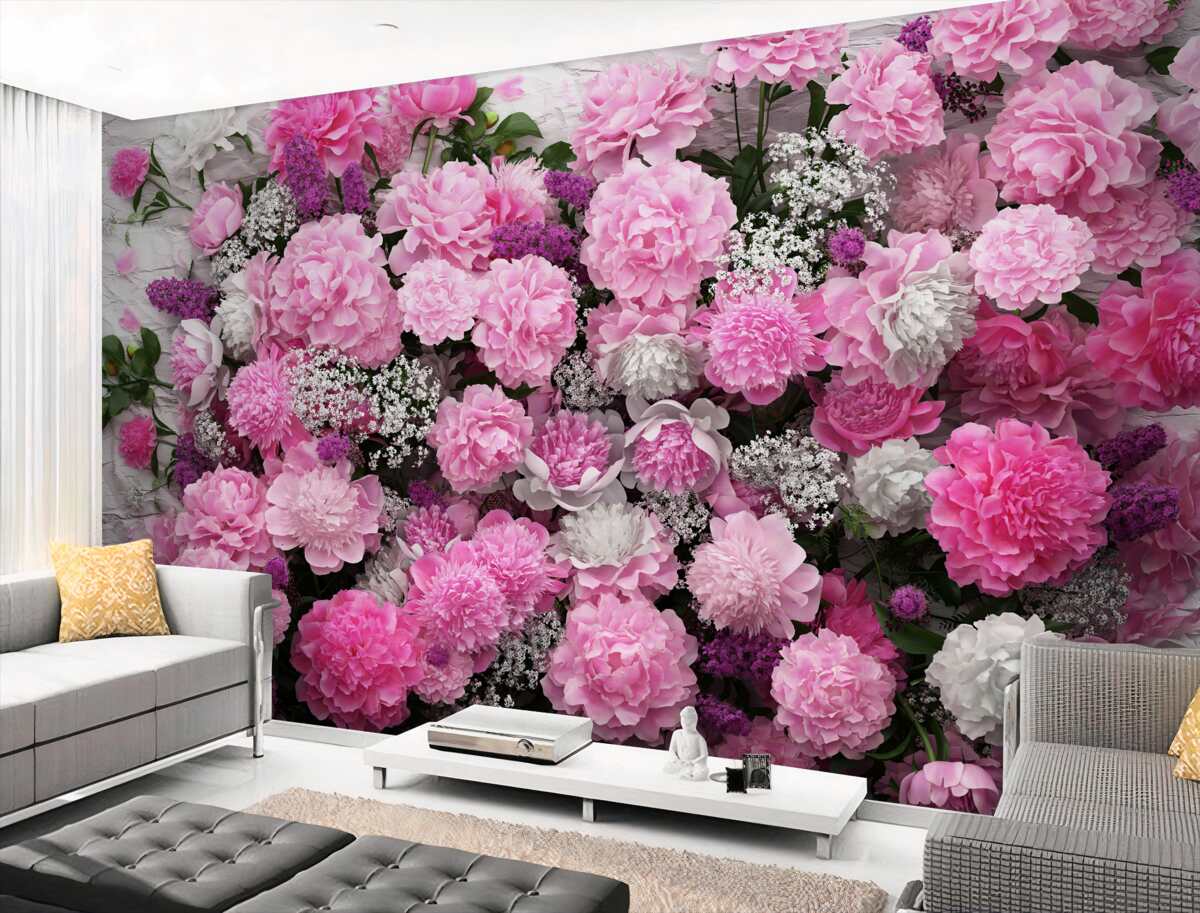Fototapeta dużo różowych piwonii