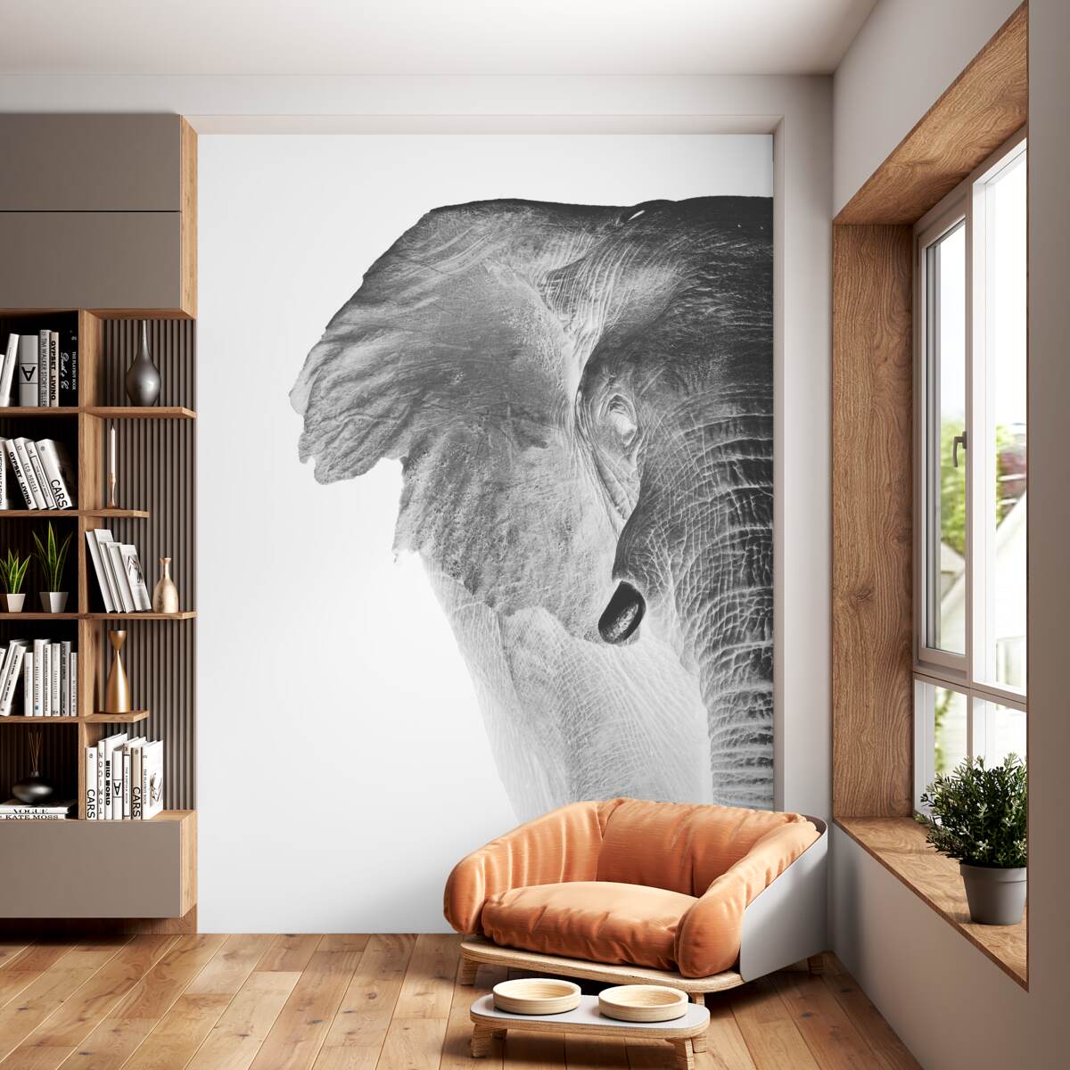 Fototapeta Słoń z bliska na czarnym tle