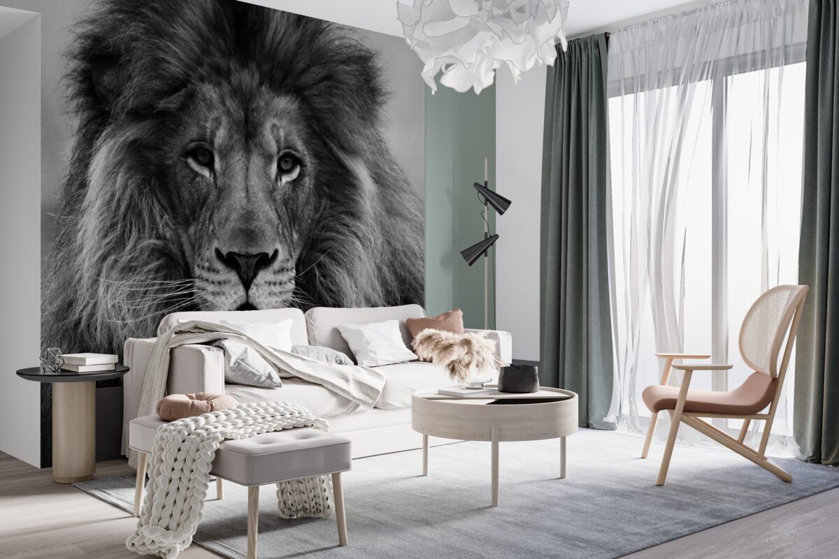 Fototapeta portret dorosłego lwa