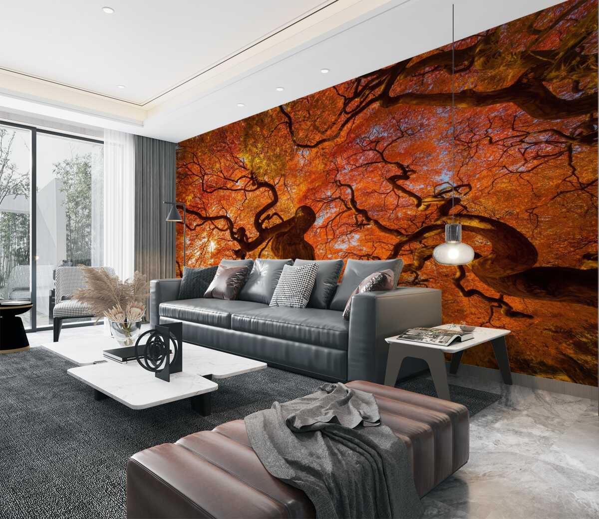 Fototapeta Widok z dołu jesiennego drzewa