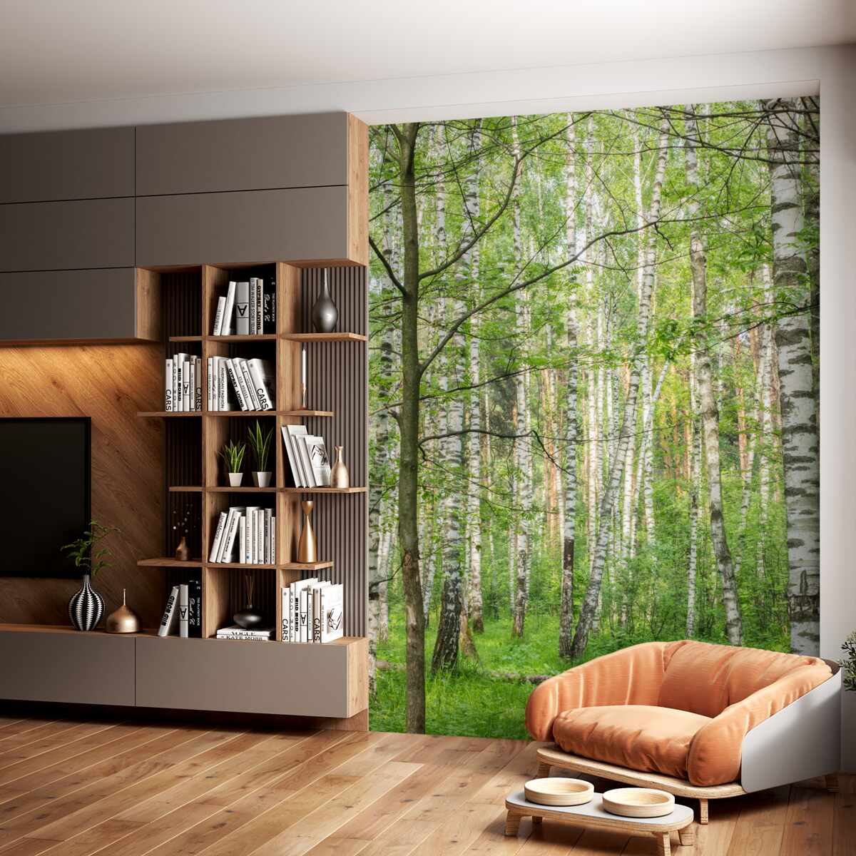 Fototapeta gęsto porośnięty las brzozowy