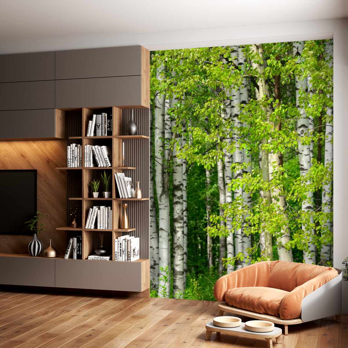 Fototapeta Brzozowy las