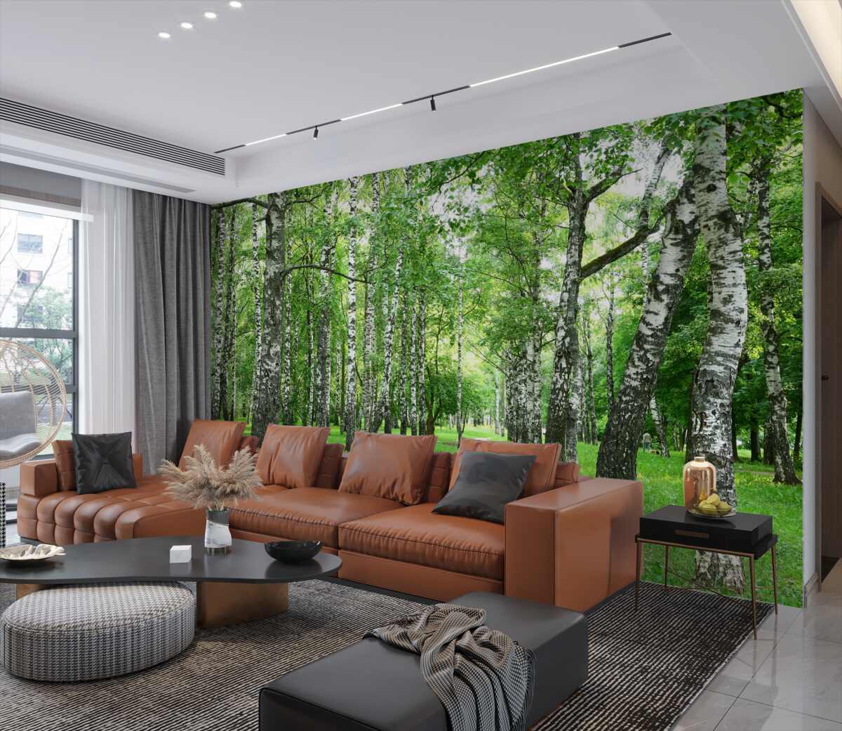 Fototapeta ścieżka prowadząca do lasu