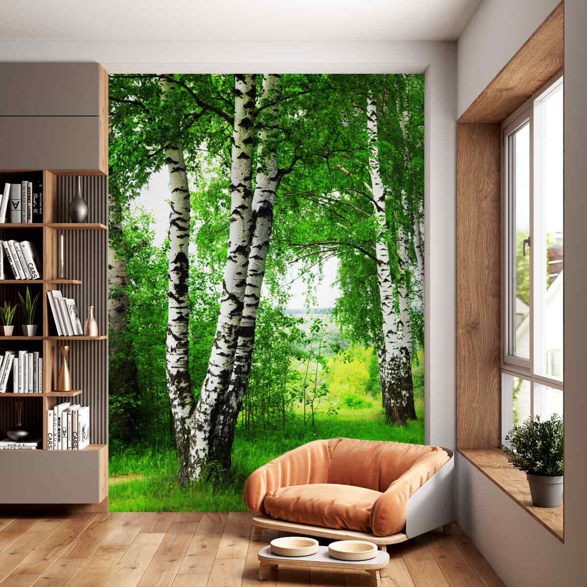 Fototapeta brzoza na trawniku