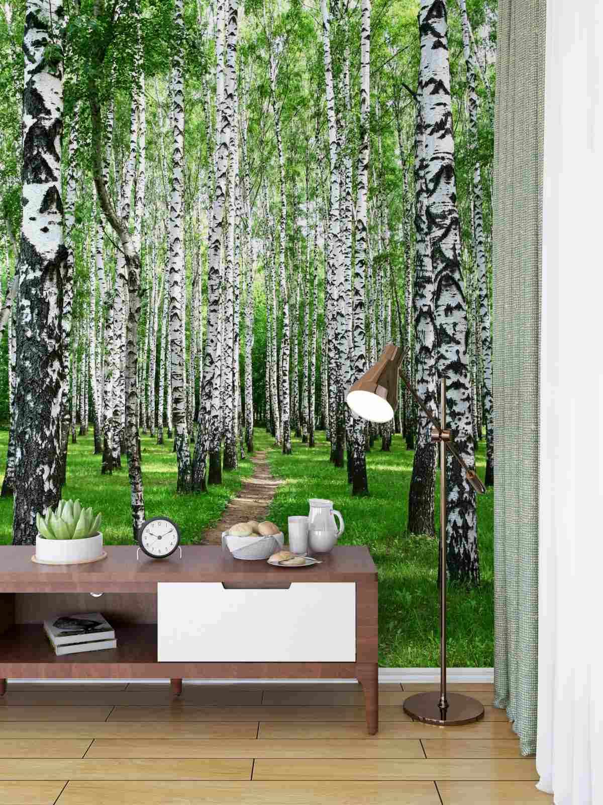 Fototapeta ścieżka w lesie brzozowym