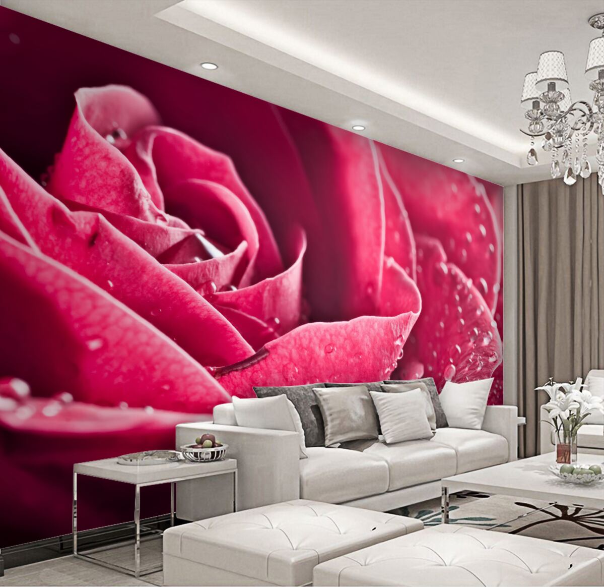 Fototapeta Powiększona róża z kroplami