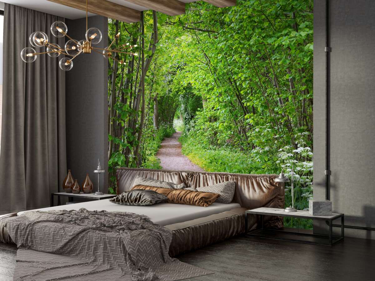 Fototapeta ścieżka w gęstym i zielonym lesie