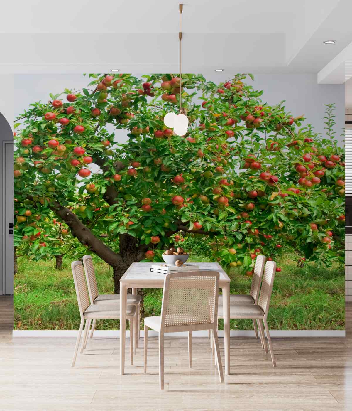 Fototapeta jabłko, które owocuje