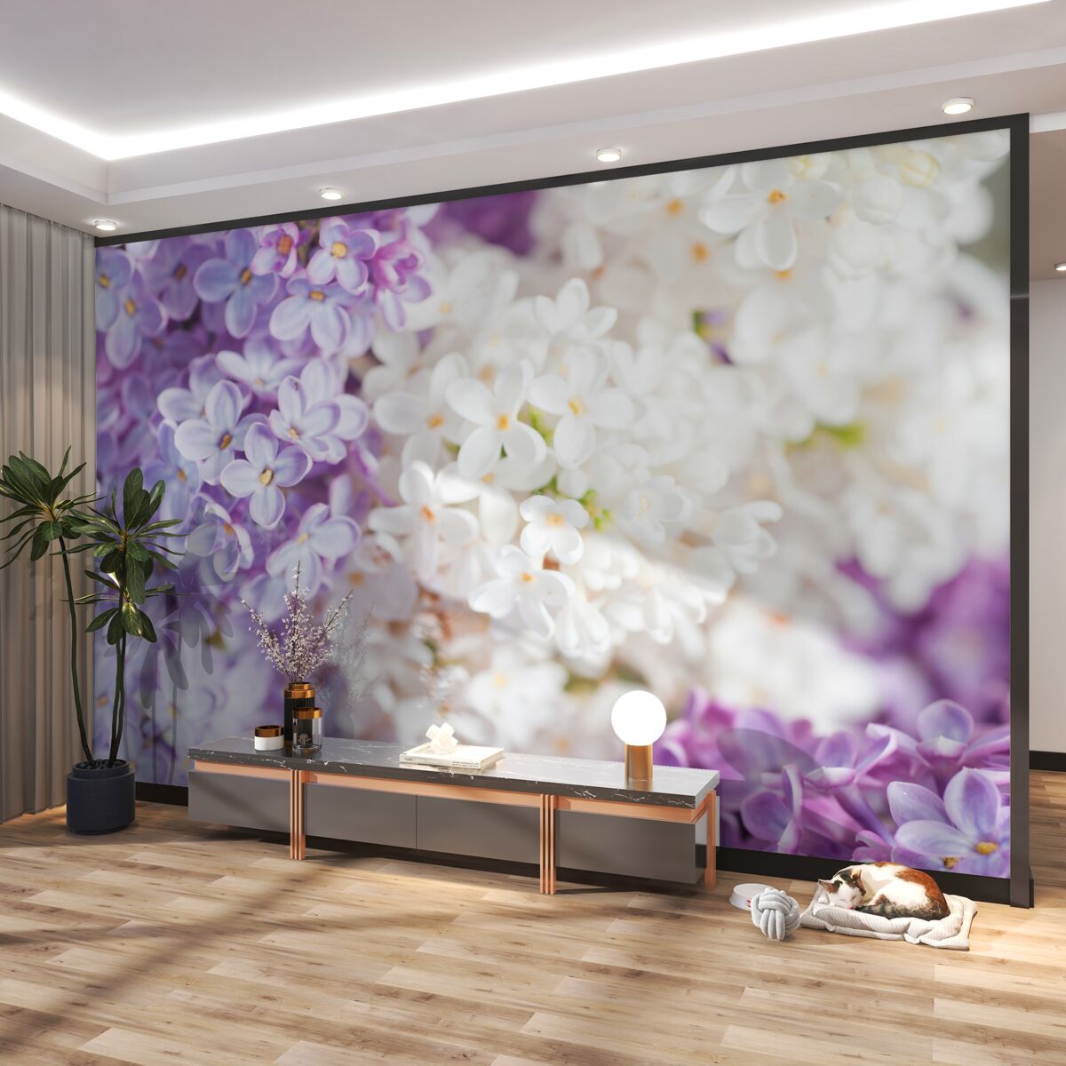 Fototapeta Wiosną kwitnący liliowy