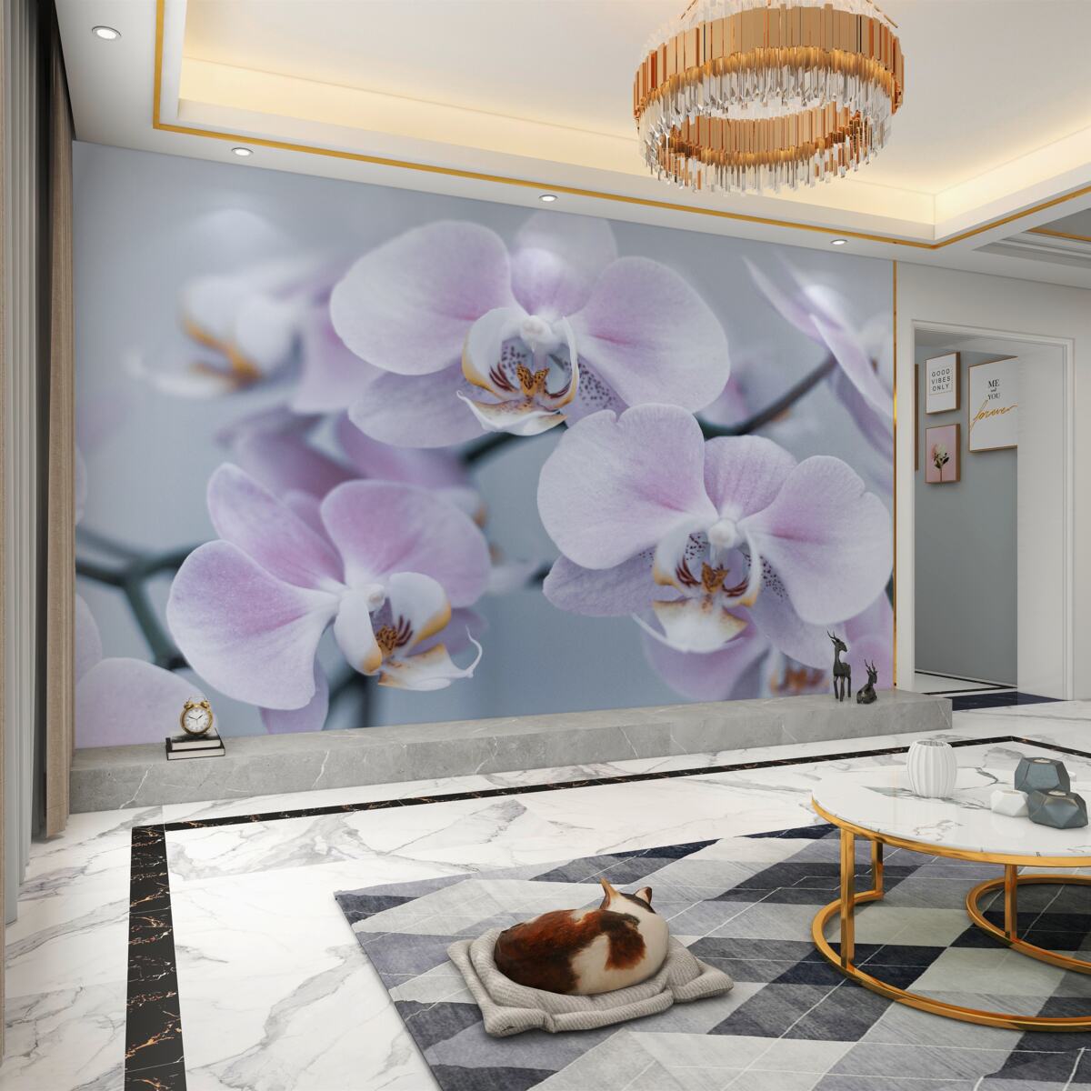 Fototapeta duże kwiaty orchidei