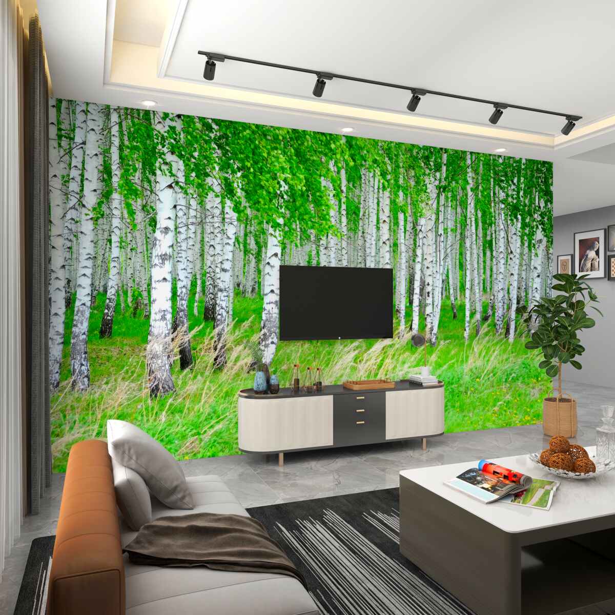 Fototapeta zielona łąka przed brzozami