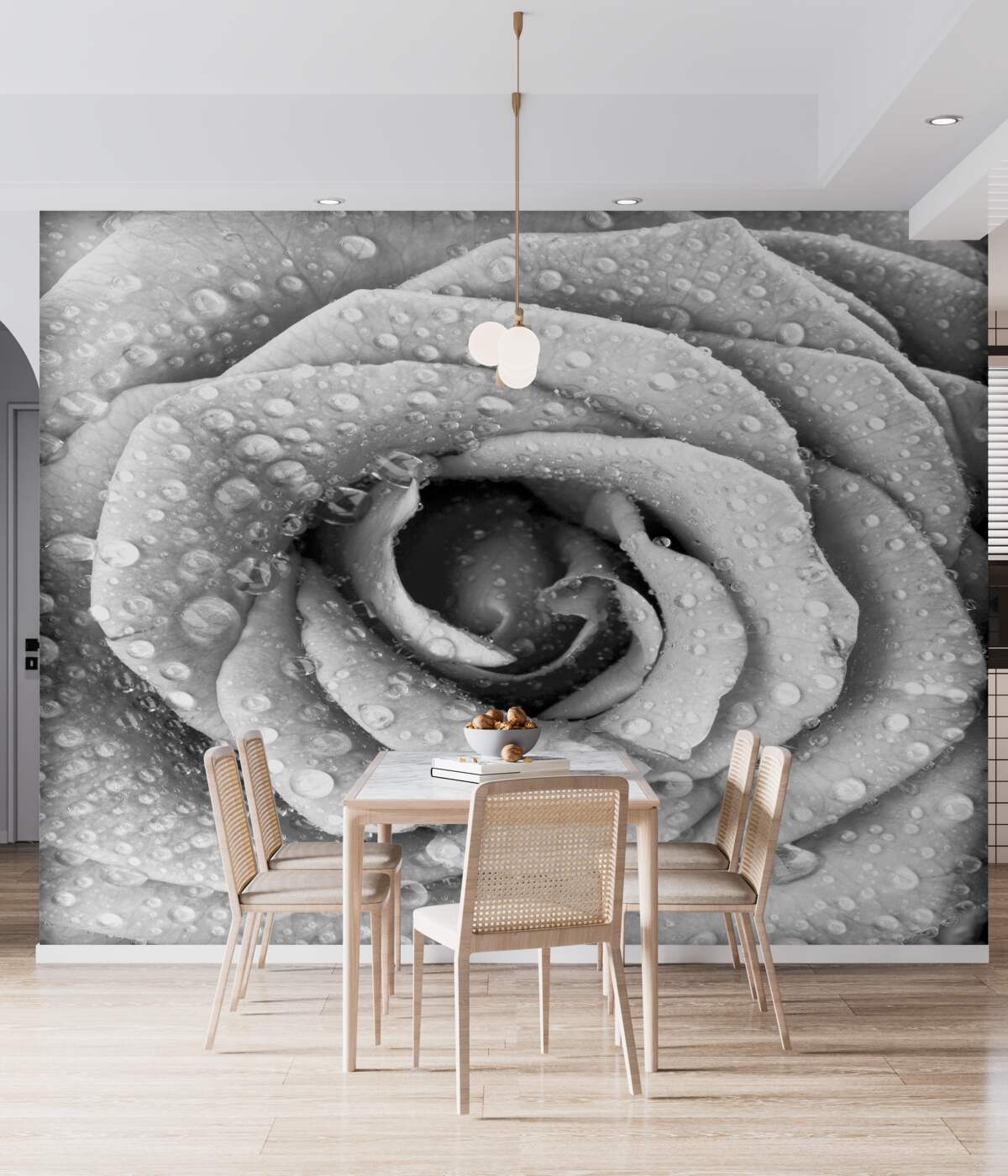 Fototapeta czarno-biała róża z kroplami