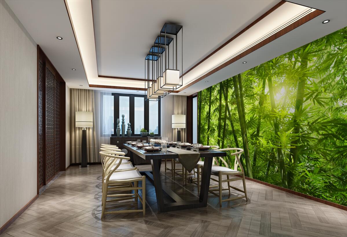 Fototapeta słońce próbuje przebić się przez gęsty las