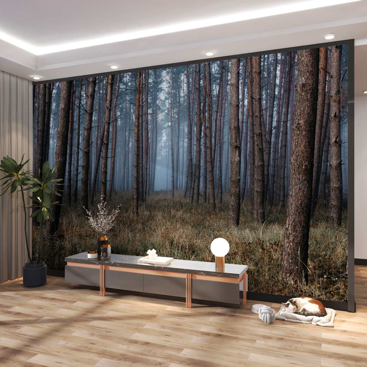 Fototapeta ponury las iglasty