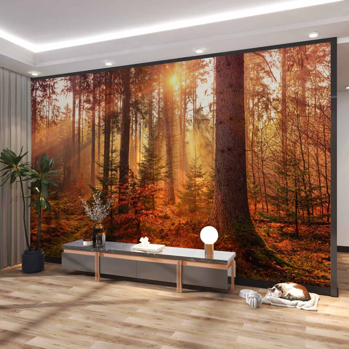 Fototapeta jesienny las i promienie słońca