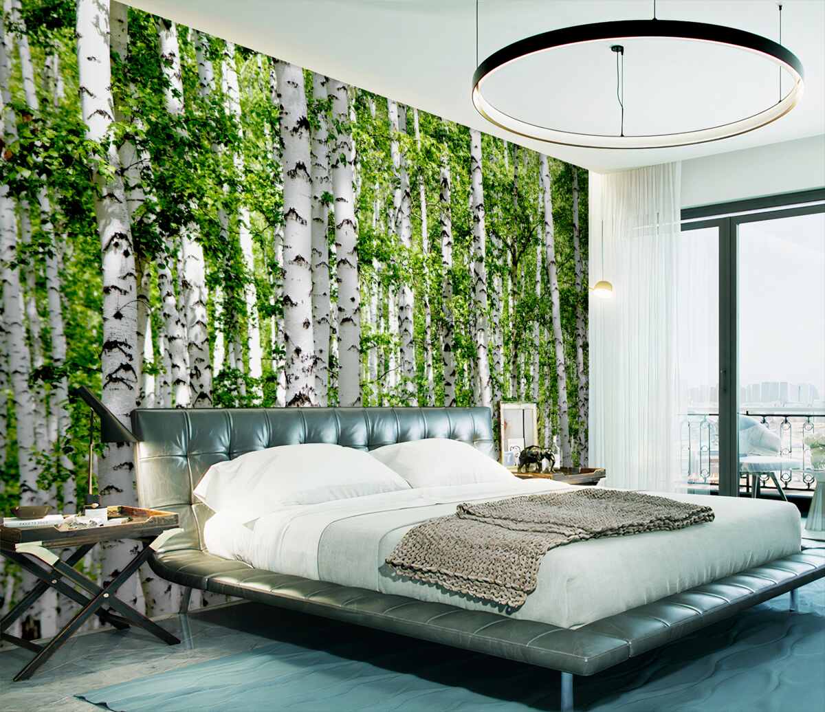 Fototapeta smukłe zielone brzozy