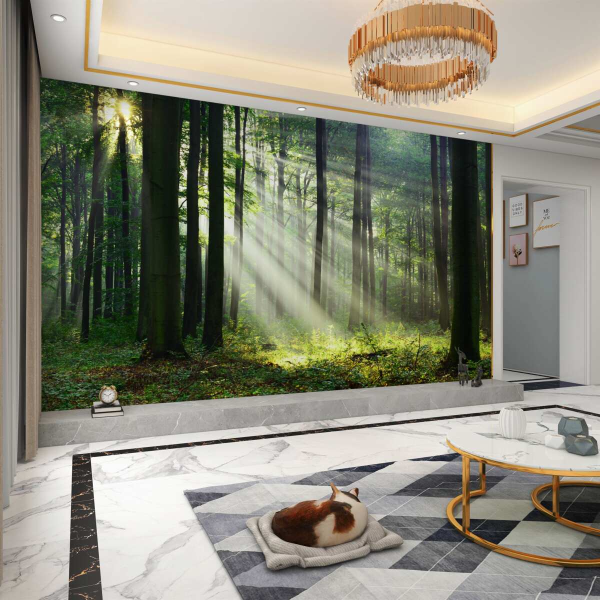 Fototapeta las o poranku