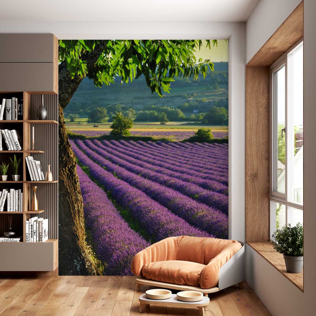 Fototapeta pachnące pole lawendy